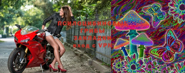 ешки Ростов