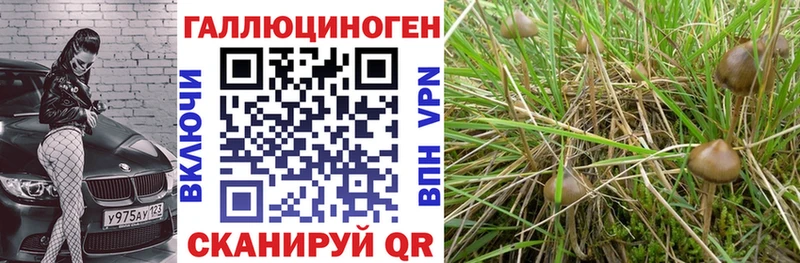 наркошоп  Тюмень  Галлюциногенные грибы MAGIC MUSHROOMS 